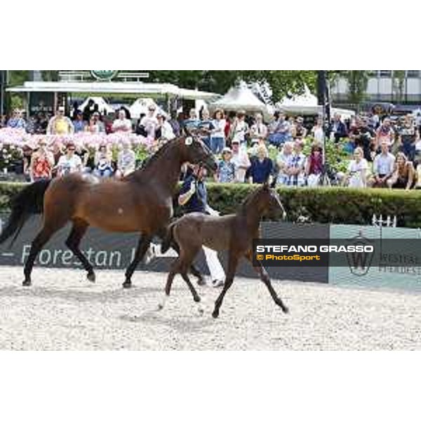 LGCT of Berlin - Foal presentation - Berlin, - 29 July 2017 - ph.Stefano Grasso/LGCT
