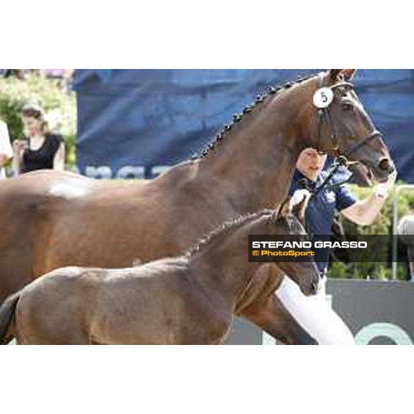 LGCT of Berlin - Foal presentation - Berlin, - 29 July 2017 - ph.Stefano Grasso/LGCT