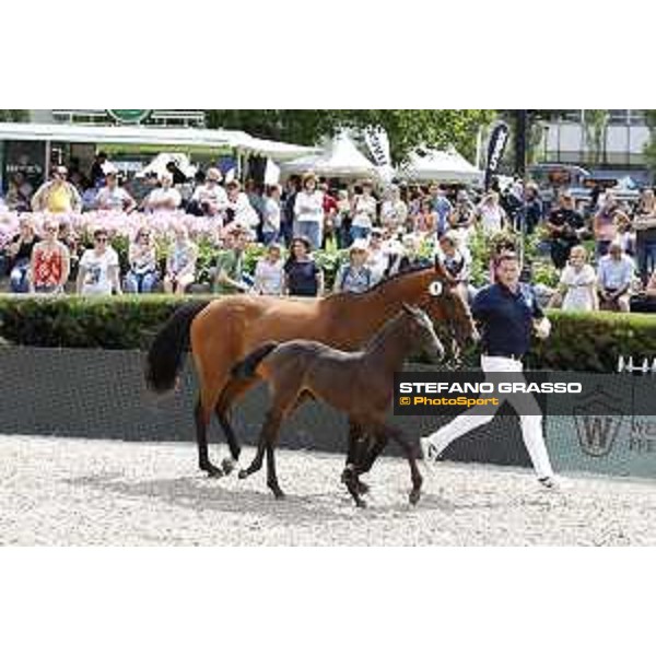 LGCT of Berlin - Foal presentation - Berlin, - 29 July 2017 - ph.Stefano Grasso/LGCT