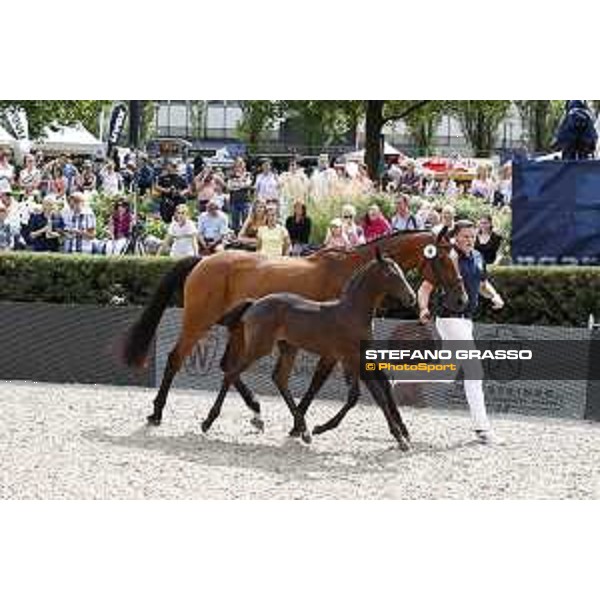 LGCT of Berlin - Foal presentation - Berlin, - 29 July 2017 - ph.Stefano Grasso/LGCT