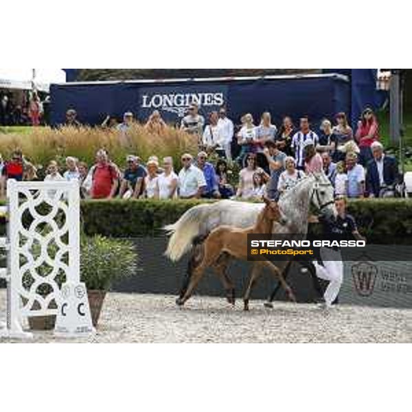 LGCT of Berlin - Foal presentation - Berlin, - 29 July 2017 - ph.Stefano Grasso/LGCT