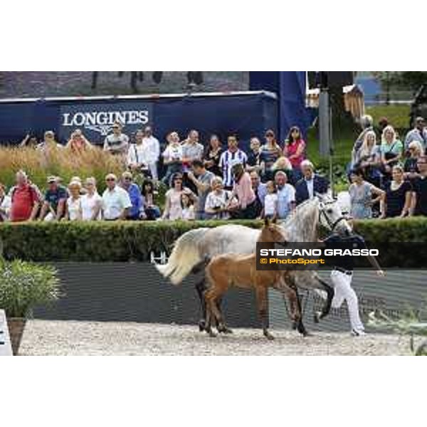 LGCT of Berlin - Foal presentation - Berlin, - 29 July 2017 - ph.Stefano Grasso/LGCT