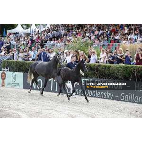 LGCT of Berlin - Foal presentation - Berlin, - 29 July 2017 - ph.Stefano Grasso/LGCT