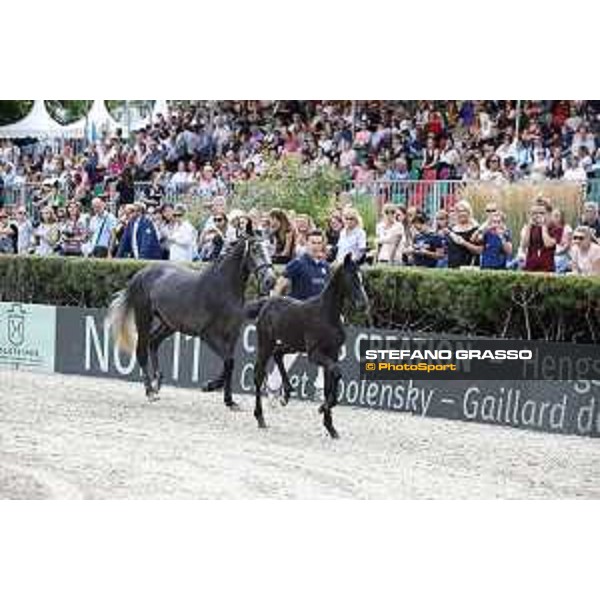 LGCT of Berlin - Foal presentation - Berlin, - 29 July 2017 - ph.Stefano Grasso/LGCT