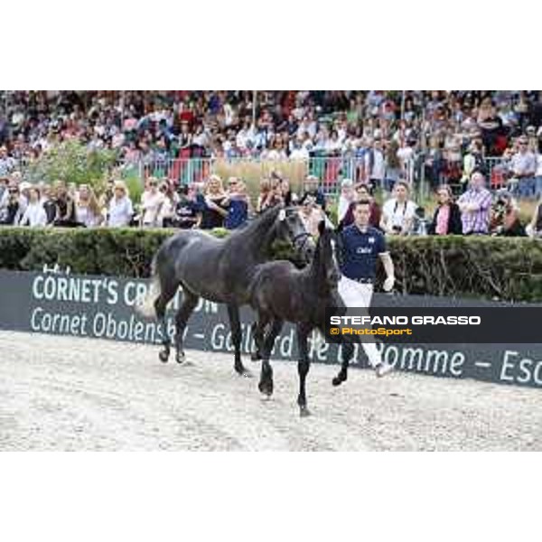 LGCT of Berlin - Foal presentation - Berlin, - 29 July 2017 - ph.Stefano Grasso/LGCT