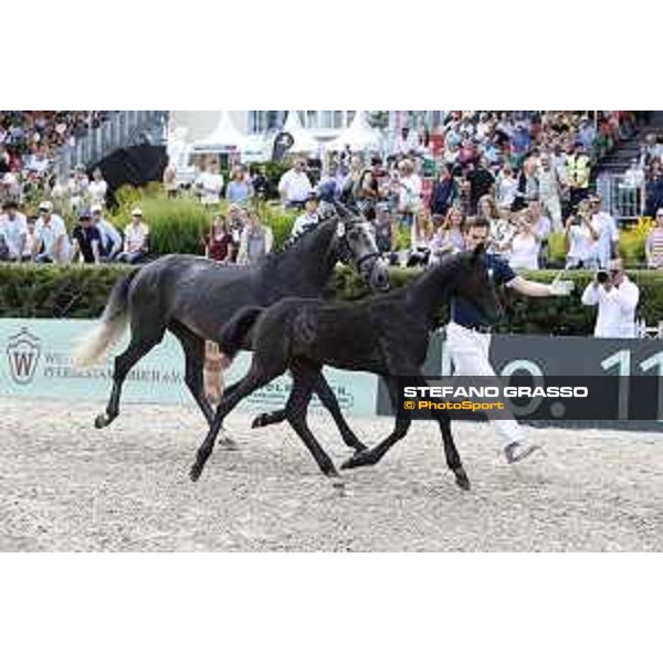 LGCT of Berlin - Foal presentation - Berlin, - 29 July 2017 - ph.Stefano Grasso/LGCT