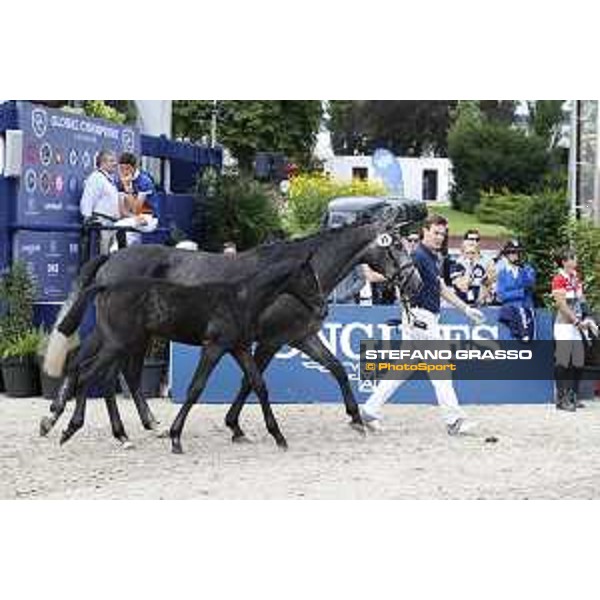 LGCT of Berlin - Foal presentation - Berlin, - 29 July 2017 - ph.Stefano Grasso/LGCT
