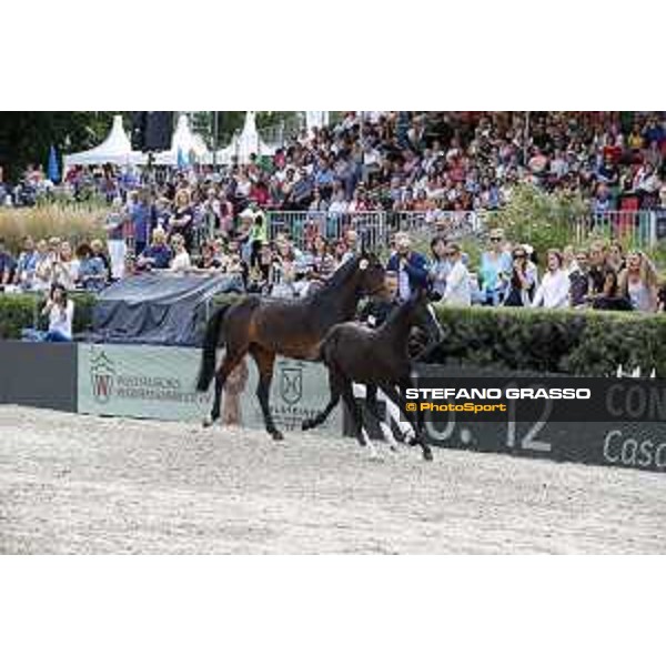 LGCT of Berlin - Foal presentation - Berlin, - 29 July 2017 - ph.Stefano Grasso/LGCT