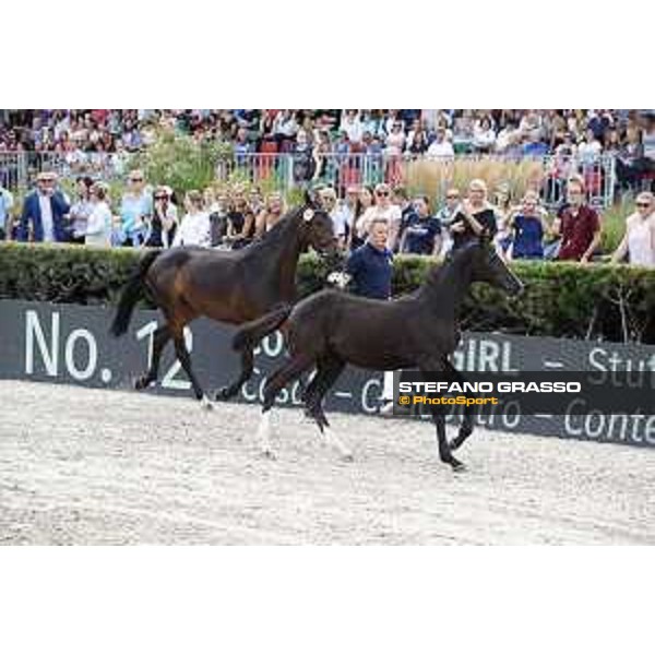 LGCT of Berlin - Foal presentation - Berlin, - 29 July 2017 - ph.Stefano Grasso/LGCT