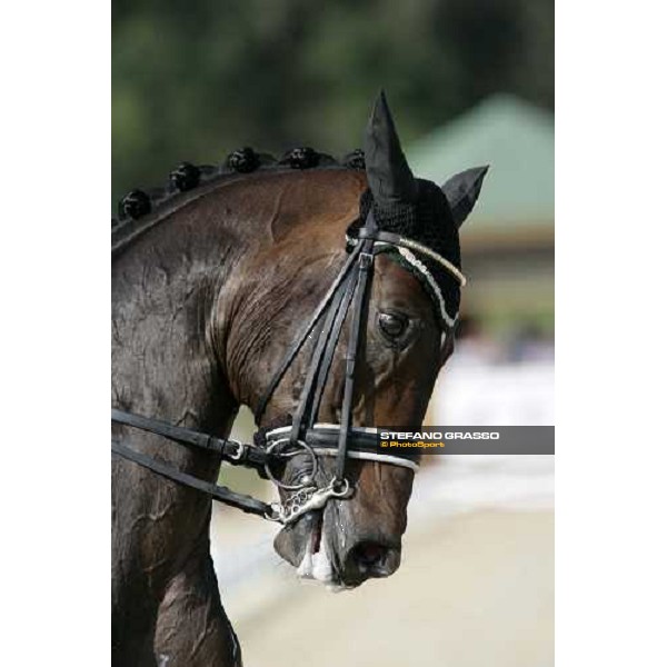 close up for Hunter Douglas Sunrise, 3rd at the Grand Prix Special Technical Championship at the dressage european championship 2007 La Mandria, 1st sept. 2007 ph. Stefano Grasso