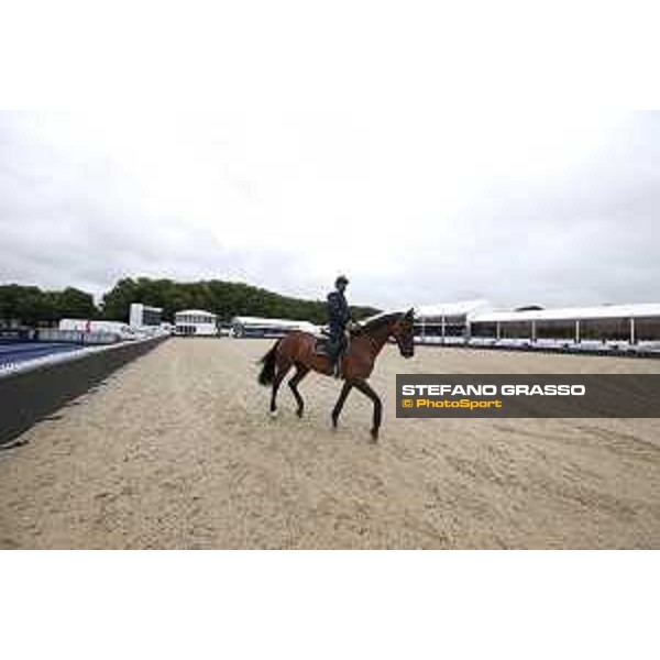 LGCT of London London,2nd august 2017 ph.© Stefano Grasso/LGCTLGCT of London Warm up in the main arena London,2nd august 2017 ph.© Stefano Grasso/LGCT