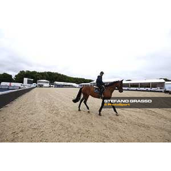 LGCT of London London,2nd august 2017 ph.© Stefano Grasso/LGCTLGCT of London Warm up in the main arena London,2nd august 2017 ph.© Stefano Grasso/LGCT