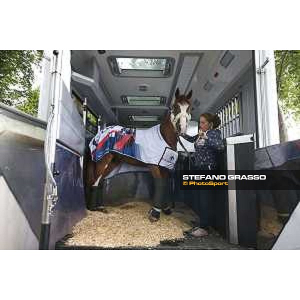 LGCT of London London,2nd august 2017 ph.© Stefano Grasso/LGCTLGCT of London Horses arrival London,2nd august 2017 ph.© Stefano Grasso/LGCT