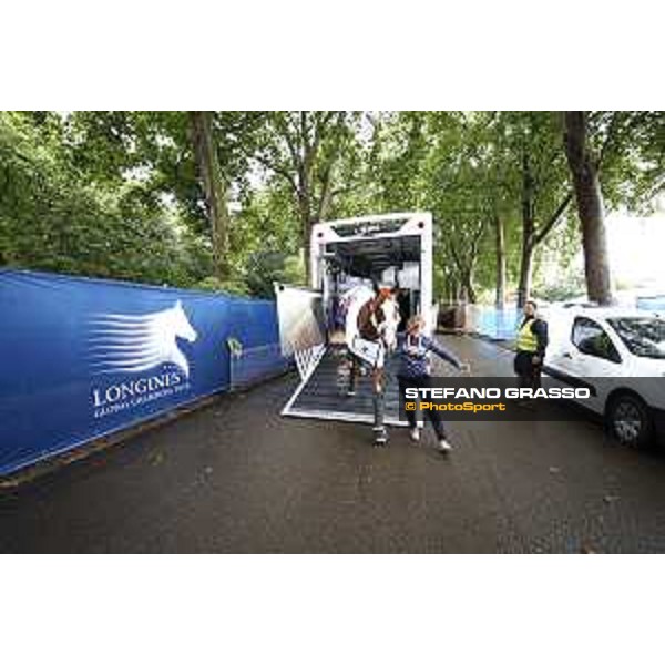 LGCT of London London,2nd august 2017 ph.© Stefano Grasso/LGCTLGCT of London Horses arrival London,2nd august 2017 ph.© Stefano Grasso/LGCT