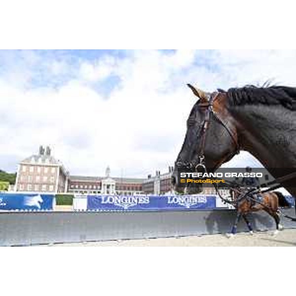 LGCT of London warming up in the main arena London,3rd august 2017 ph.© Stefano Grasso/LGCTLGCT of London warming up in the main arena - Chilli Willy London,3rd august 2017 ph.© Stefano Grasso/LGCT