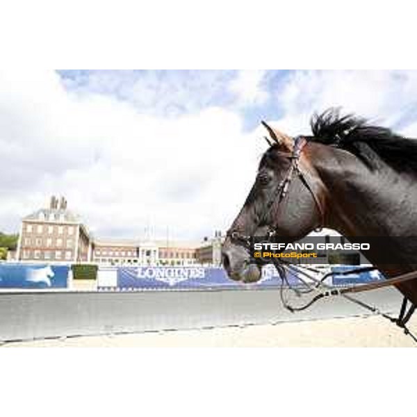 LGCT of London warming up in the main arena London,3rd august 2017 ph.© Stefano Grasso/LGCTLGCT of London warming up in the main arena - Chilli Willy London,3rd august 2017 ph.© Stefano Grasso/LGCT