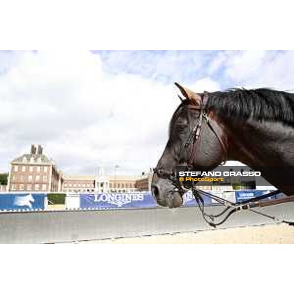 LGCT of London warming up in the main arena London,3rd august 2017 ph.© Stefano Grasso/LGCTLGCT of London warming up in the main arena - Chilli Willy London,3rd august 2017 ph.© Stefano Grasso/LGCT