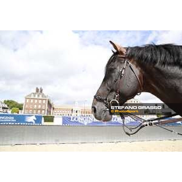 LGCT of London warming up in the main arena London,3rd august 2017 ph.© Stefano Grasso/LGCTLGCT of London warming up in the main arena - Chilli Willy London,3rd august 2017 ph.© Stefano Grasso/LGCT