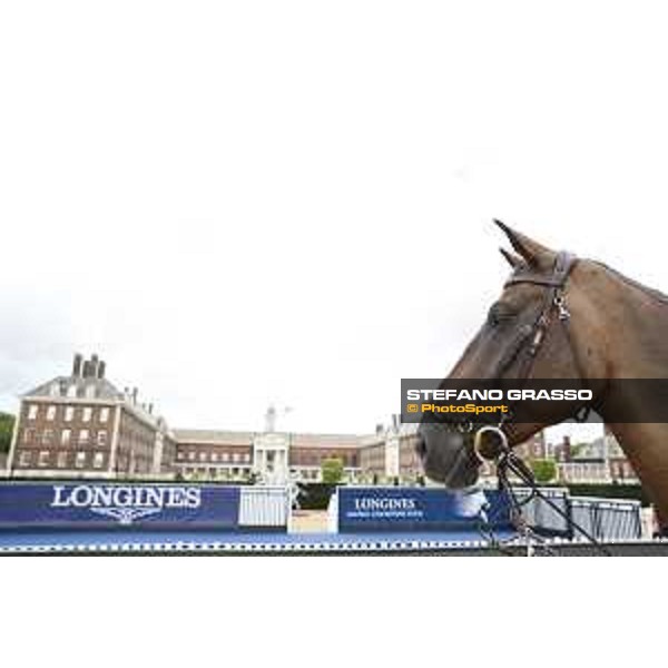 LGCT of London warming up in the main arena London,3rd august 2017 ph.© Stefano Grasso/LGCT