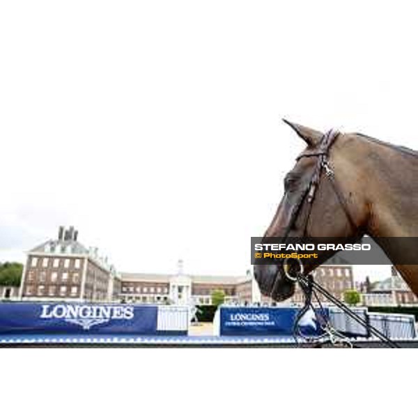 LGCT of London warming up in the main arena London,3rd august 2017 ph.© Stefano Grasso/LGCT
