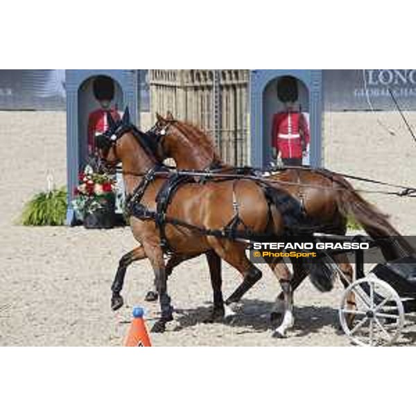 LGCT of London - Pony driving exhibition - London, - 6 August 2017 - ph.Stefano Grasso/LGCT