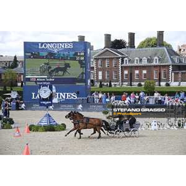 LGCT of London - Pony driving exhibition - London, - 6 August 2017 - ph.Stefano Grasso/LGCT