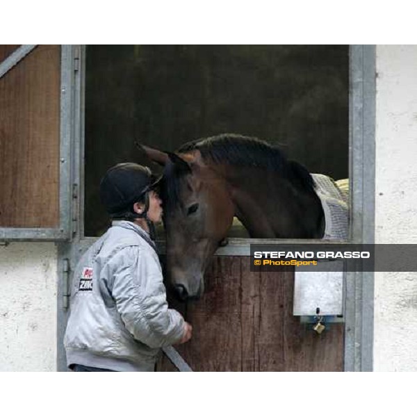 preparing Sleeping Jack at Merano stables Merano Maia, 28th sept.2007 ph. Stefano Grasso