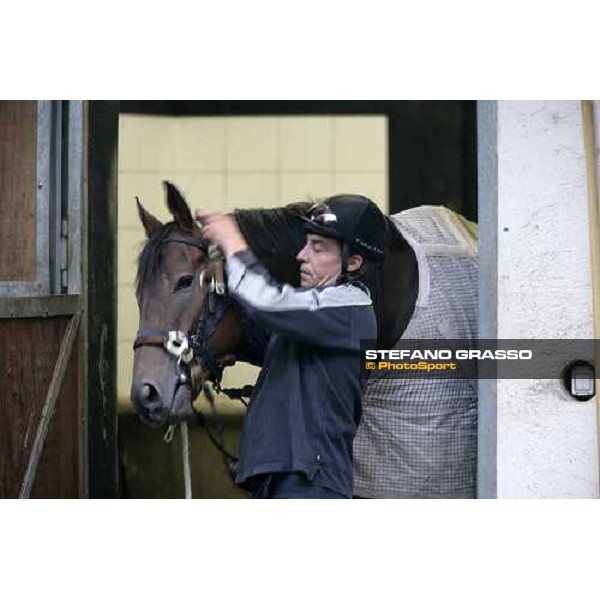 preparing Sleeping Jack at Merano stables Merano Maia, 28th sept.2007 ph. Stefano Grasso