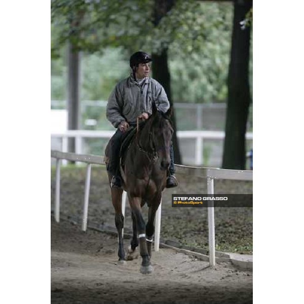 Sleeping Jack walking at Merano stables Merano Maia, 28th sept.2007 ph. Stefano Grasso