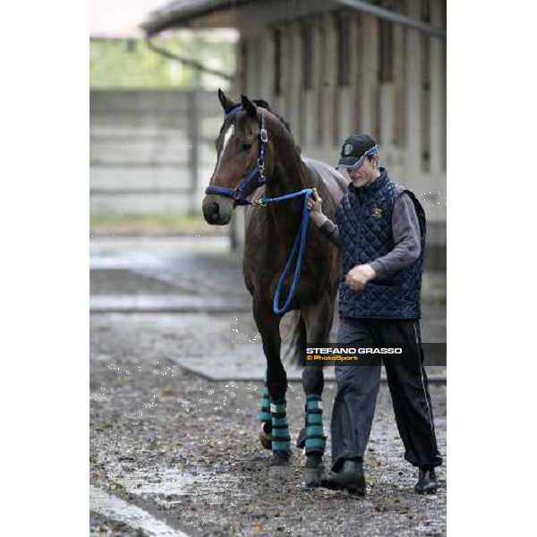 Vernar with Josef Bartos walking at Merano stables after their arriving Merano Maia, 28th sept.2007 ph. Stefano Grasso