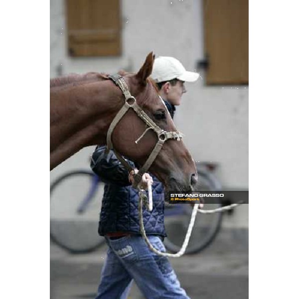 Pessoa arrives at Merano Merano Maia, 28th sept.2007 ph. Stefano Grasso
