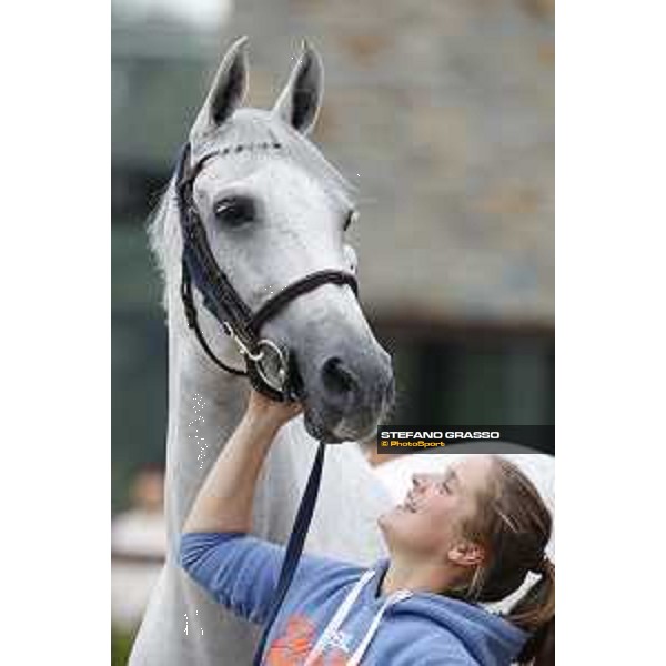 LGCT of Valkenswaard - The vet inspection - Valkenswaard, 10th august 2017 - ph. Stefano Grasso/LGCTLGCT of Valkenswaard - The vet inspection - VDL Groep Beauty - Valkenswaard, 10th august 2017 - ph. Stefano Grasso/LGCT