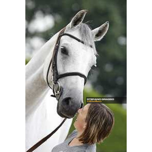 LGCT of Valkenswaard - The vet inspection - Valkenswaard, 10th august 2017 - ph. Stefano Grasso/LGCTLGCT of Valkenswaard - The vet inspection - Gin Chin van het Lindenhof - Valkenswaard, 10th august 2017 - ph. Stefano Grasso/LGCT