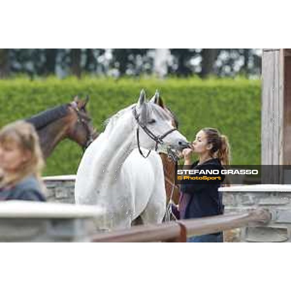 LGCT of Valkenswaard - The vet inspection - Valkenswaard, 10th august 2017 - ph. Stefano Grasso/LGCT