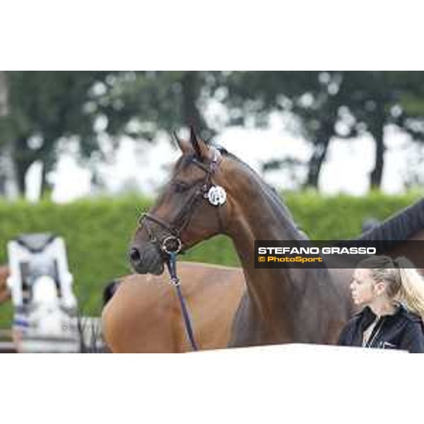 LGCT of Valkenswaard - The vet inspection Gunder - Valkenswaard, 10th august 2017 - ph. Stefano Grasso/LGCT