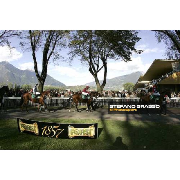 Raffaele Romano on Halling Joy parades before the start of 68¡ Gran Premio Merano Forst, followed by L\' As de Pembo and Pessoa Merano Maia, 30th sept. 2007 ph. Stefano Grasso