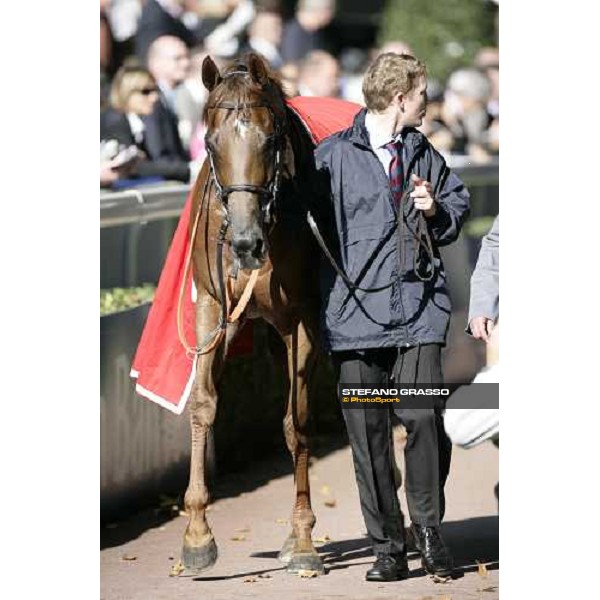 Toylsome with his groom comes back to the stable after winning the Prix de la Foret Casino Barriere de Biarritz Paris, Longchamp, 6th october 2007 ph. Stefano Grasso