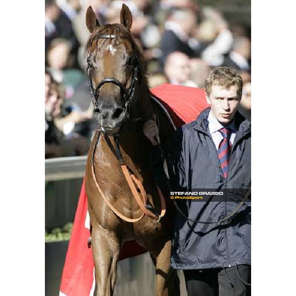 Toylsome with his groom comes back to the stable after winning the Prix de la Foret Casino Barriere de Biarritz Paris, Longchamp, 6th october 2007 ph. Stefano Grasso