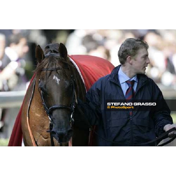 Toylsome with his groom comes back to the stable after winning the Prix de la Foret Casino Barriere de Biarritz Paris, Longchamp, 6th october 2007 ph. Stefano Grasso