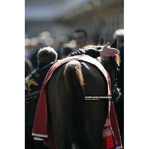 the groom congratulates with Toylsome winner of Prix de la Foret Casino Barriere de Biarritz Paris, Longchamp, 6th october 2007 ph. Stefano Grasso