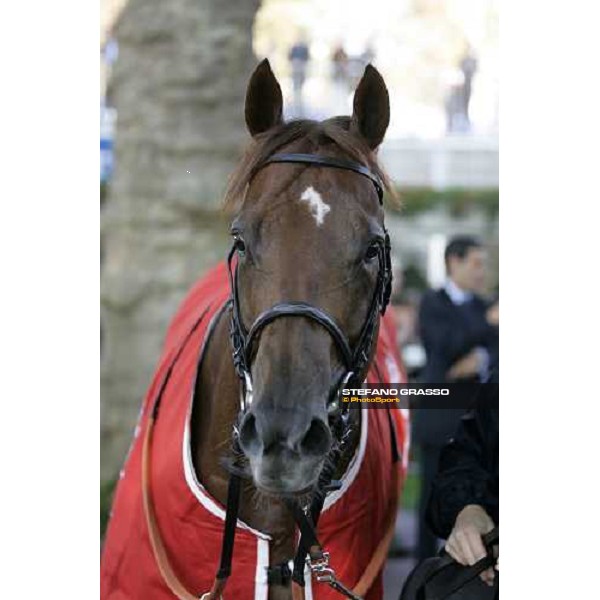 close up for Toylsome winner with Stephan Pasquier of the Prix de la Foret Casino Barriere de Biarritz Paris, Longchamp, 6th october 2007 ph. Stefano Grasso