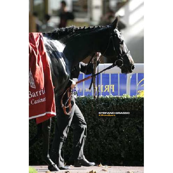 close up for Anna Pavlova winner of Prix de Royallieu hotel Hermitage Barriere de la Baule Paris, Longchamp 6th october 2007 ph. Stefano Grasso