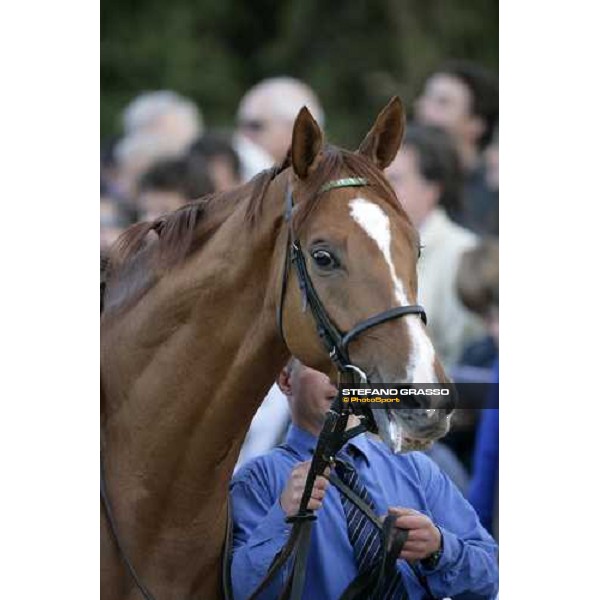 close up for Schiaparelli parading before the Jockey Club Milan San Siro , 14th october 2007 ph. Stefano Grasso