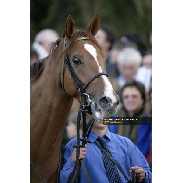 close up for Schiaparelli parading before the Jockey Club Milan San Siro , 14th october 2007 ph. Stefano Grasso