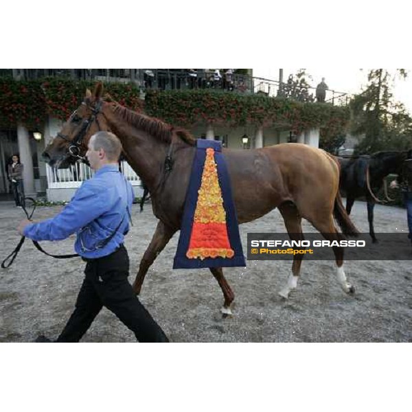 Schiaparelli walking with his groom after winning the Gran Premio del Jockey Club Milan San Siro , 14th october 2007 ph. Stefano Grasso