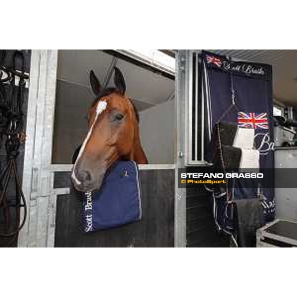 LGCT of Valkenswaard - Hello Senator - Valkenswaard, - 11 August 2017 - ph.Stefano Grasso/LGCT