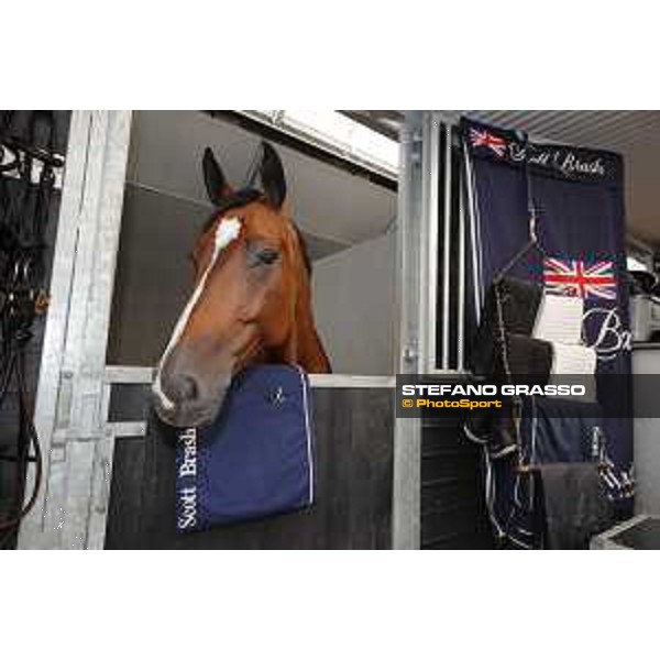 LGCT of Valkenswaard - Hello Senator - Valkenswaard, - 11 August 2017 - ph.Stefano Grasso/LGCT