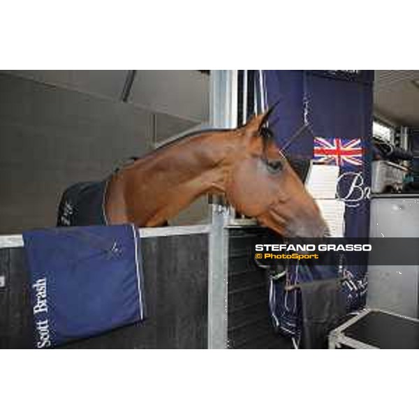 LGCT of Valkenswaard - Hello Senator - Valkenswaard, - 11 August 2017 - ph.Stefano Grasso/LGCT