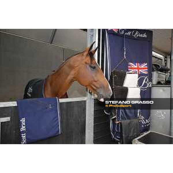 LGCT of Valkenswaard - Hello Senator - Valkenswaard, - 11 August 2017 - ph.Stefano Grasso/LGCT