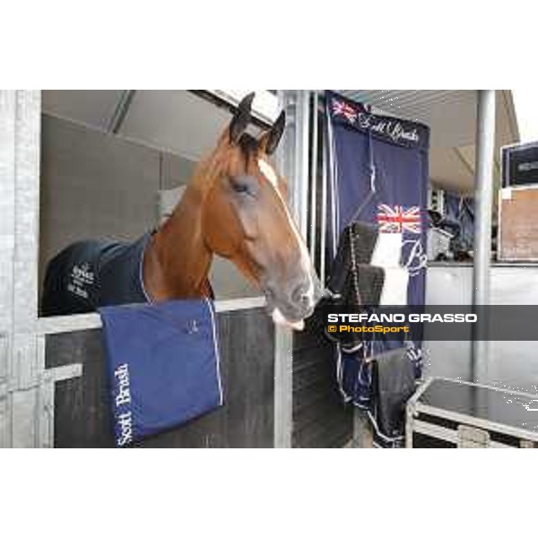 LGCT of Valkenswaard - Hello Senator - Valkenswaard, - 11 August 2017 - ph.Stefano Grasso/LGCT